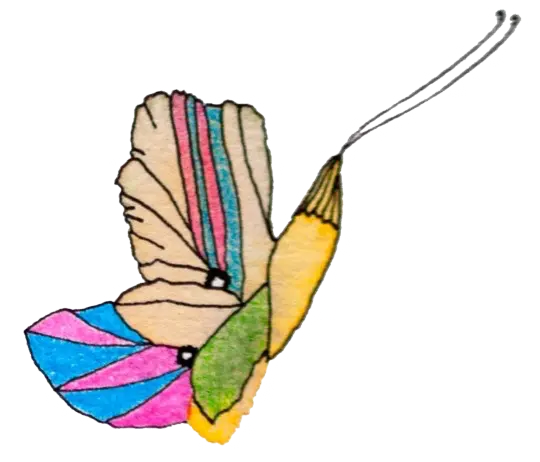 Papillon Marie Masson